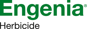 Logo Engenia image