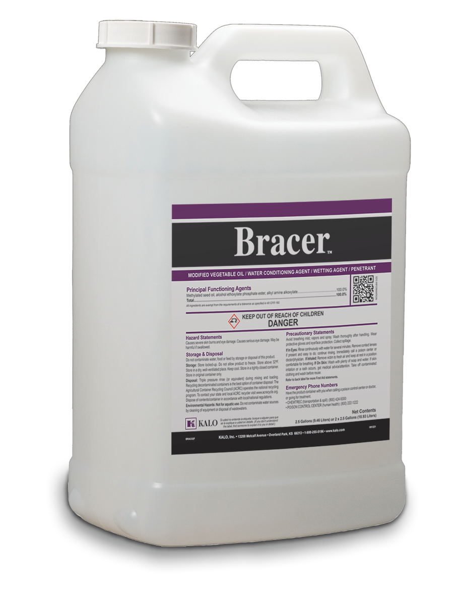 Bracer image