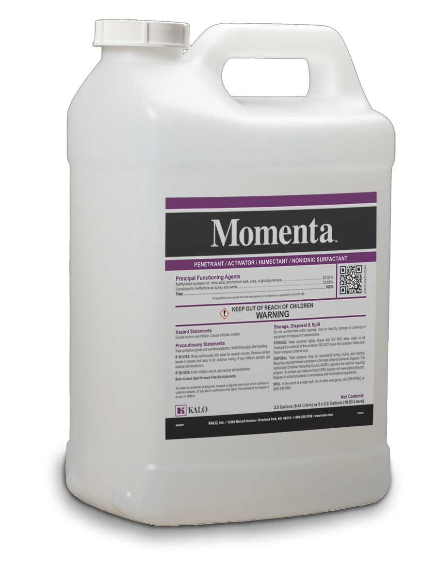Momenta image