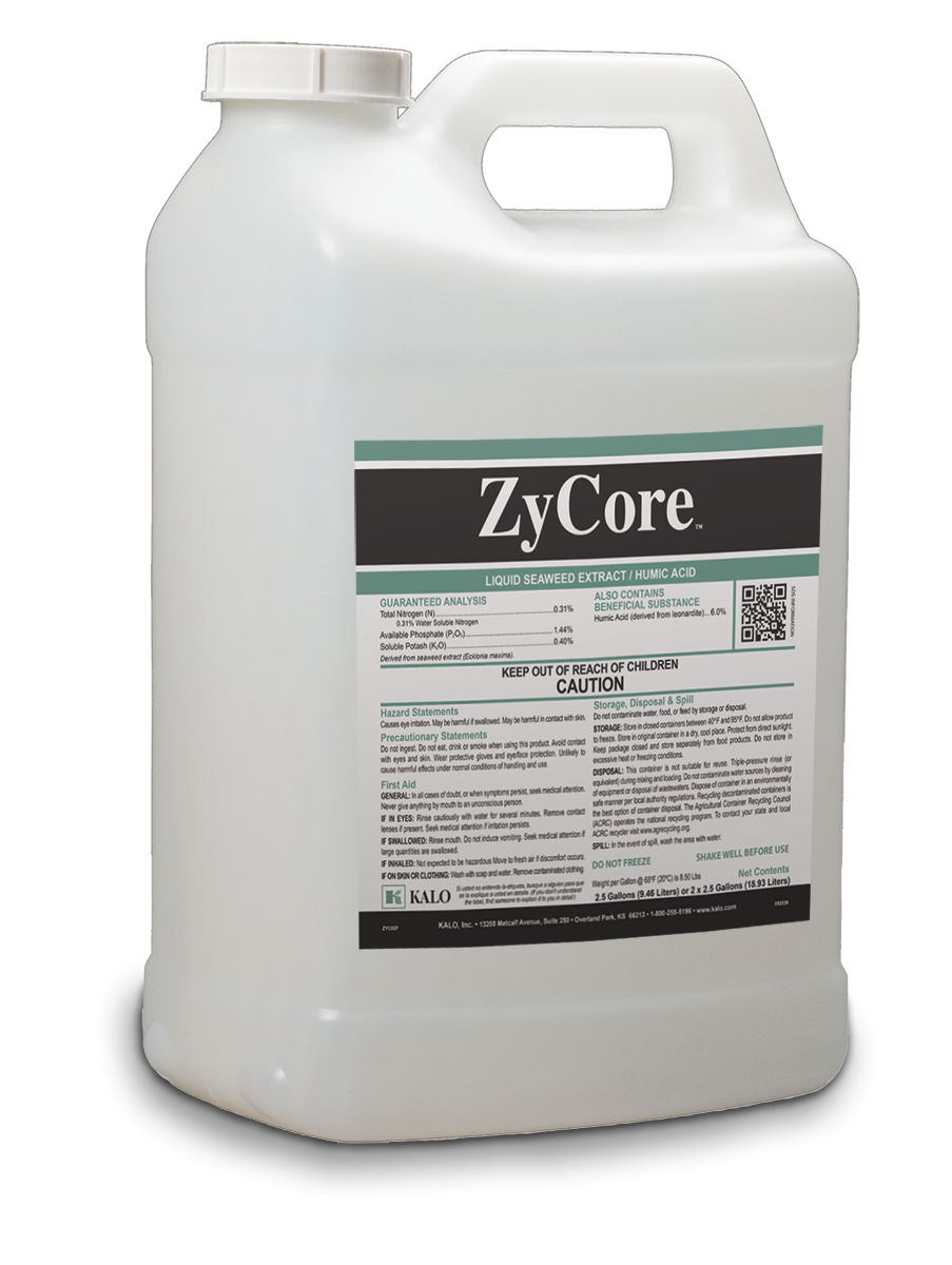 ZyCore image